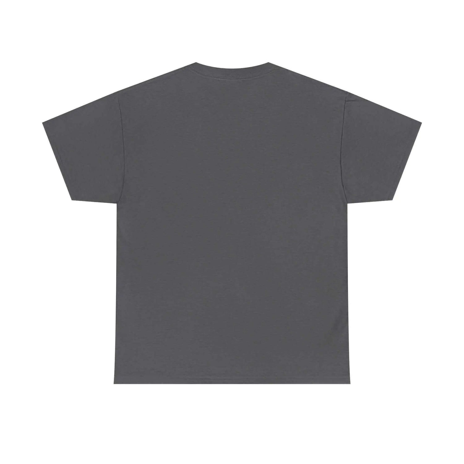 Back view of the Jesus Saves Graffiti T-Shirt in gray, showcasing its classic fit and durable design.