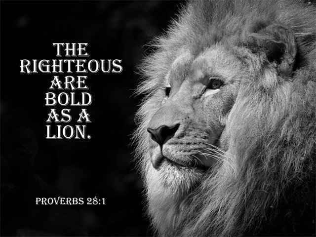 Christian Lion Wall Art for home To God be The Glory Creations 20x30cm No Framed AZ007-2