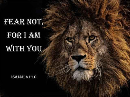 Christian Lion Wall Art for home To God be The Glory Creations 20x30cm No Framed AZ007-3