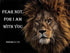 Christian Lion Wall Art for home To God be The Glory Creations 20x30cm No Framed AZ007-3
