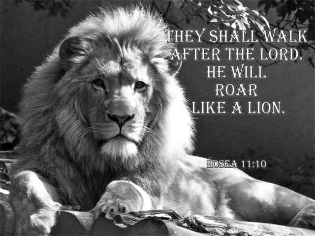 Christian Lion Wall Art for home To God be The Glory Creations 20x30cm No Framed AZ007-1