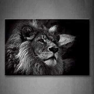 Jesus Lion And Lamb Canvas Art Decor To God be The Glory Creations 20x30cm no frame 5 CN